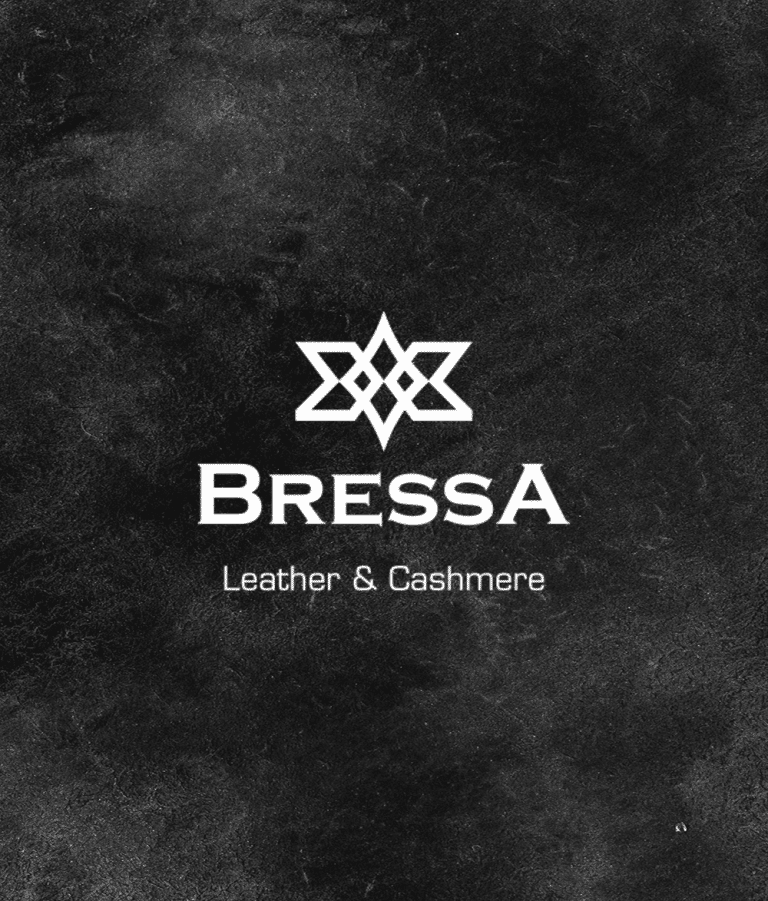 Bressa Logo Tasarımı